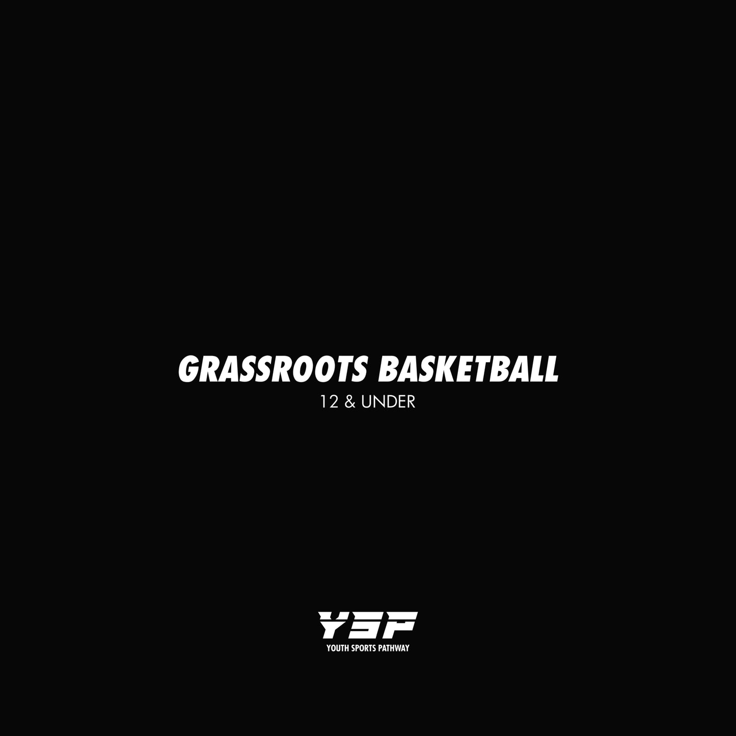 Single Session: Grassroots 12 & Under Basketball Development Training (Beginners)